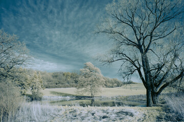 infrared photography - surreal ir photo of landscape with trees under cloudy sky - the art of our...