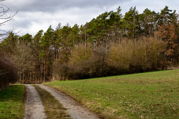 Deutscher Wald mit Feldern 