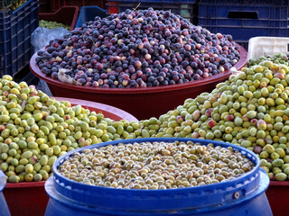 Raw olives on a market stall in Gaziantep city, Turkey      