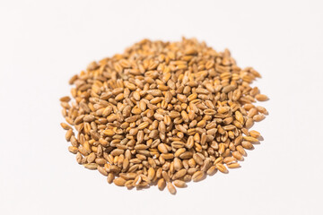 little pile of wheat grain on white background Concept of food, crisis, food, wheat, rye, barley and agriculture.