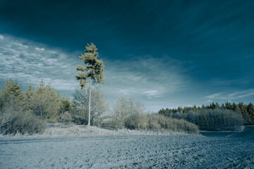 infrared photography - surreal ir photo of landscape with trees under cloudy sky - the art of our...