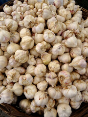 Taskopru garlics on a farmers market stall in the Aegean town Yalikavak, Bodrum, Turkey. Taskopru is a town known with the best quality Turkish garlics.   