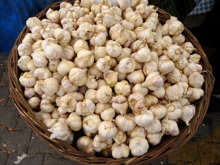Taskopru garlics on a farmers market stall in the Aegean town Yalikavak, Bodrum, Turkey. Taskopru is a town known with the best quality Turkish garlics.   