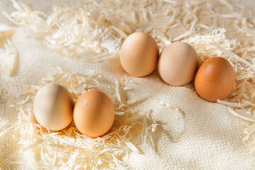 Group fresh brown chicken eggs in the straw. Eggs are placed on sawdust.