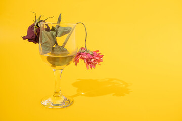 Two dry flowers in a glass of water with yellow background. Love that disappears minimal creative concept.