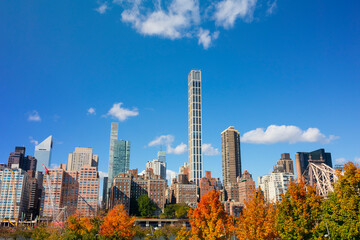 Obraz premium Autumn leaf color trees glow at City View Point in Southpoint Park Roosevelt Island on November 2021 in New York City. Midtown Manhattan skyscraper stands beyond the East Rive.