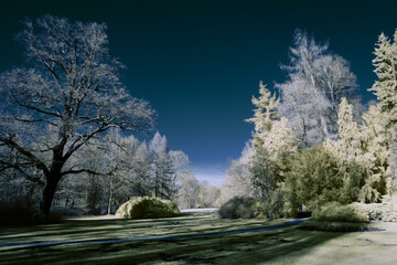 infrared photography - surreal ir photo of landscape with trees under cloudy sky - the art of our...