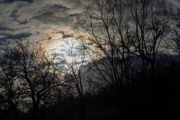Fototapeta na wymiar Sonnenuntergang hinter Bäume