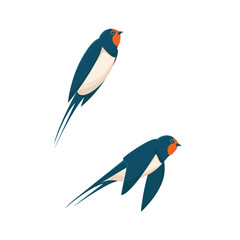 Swallow or Martin Passerine Bird with Long Tail and Pointed Wings Flying and Gliding Vector Set