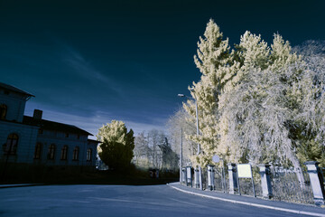 infrared photography - surreal ir photo of landscape with trees under cloudy sky - the art of our...