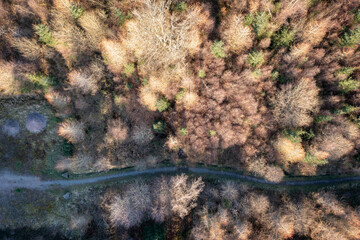 Aerial view of a path or road going through a forest in South Wales