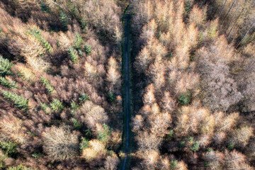 Aerial view of a path or road going through a forest in South Wales