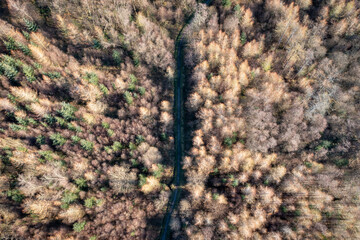 Aerial view of a path or road going through a forest in South Wales