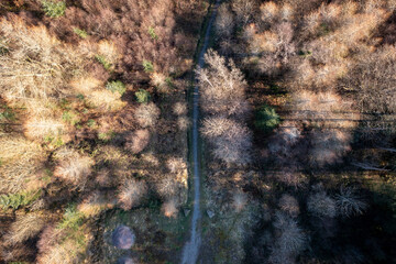 Aerial view of a path or road going through a forest in South Wales