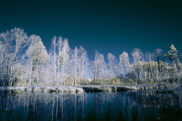 infrared photography - surreal ir photo of landscape with trees under cloudy sky - the art of our...
