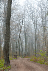 541-68 Foggy Spring Road