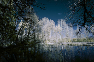 infrared photography - surreal ir photo of landscape with trees under cloudy sky - the art of our...