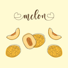 Melon Isolated Objects. Hand-drawn elements. 