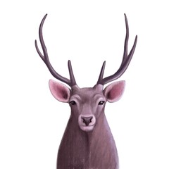 forest deer watercolor style portrait, autumn clipart