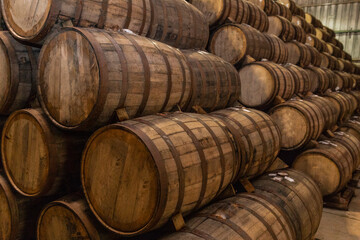 Wine barrels on old cellar - 493528712