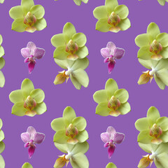 Fototapeta na wymiar yellow orchid on lilac background. Isolated flowers. Seamless floral pattern for fabric, textile, wrapping paper. Tropical flowers