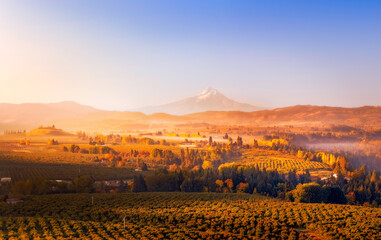 Aerial panorama of Mt Hood in the Autumn at sunrise with a light mist and fog overlaying some of...