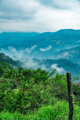 Mountains hill sky cloud panorama look. Pick view on tropical forest land