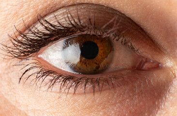 Beautiful close up of  eye. Macro photography.
