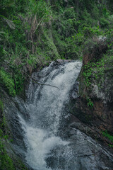 Mountain cascade waterfall inside of wild tropical forest
