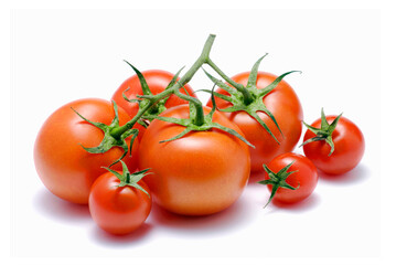 Bunch of fresh tomatoes on red background.