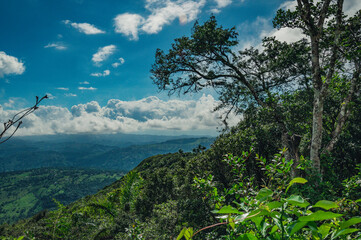 Mountains hill durig raining panorama look. Pick view on tropical forest land