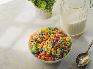 A quick cereal breakfast - fruit colored rings in a bowl, a spoon, a jug of milk and decor - an indoor flower. Isolated on white background. Low angle view. Traditional American breakfast.