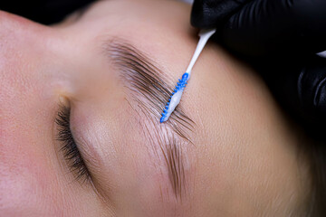 close-up of eyebrow hairs styled and combed with laminating compositions