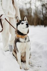 woman with dog winter landscape walk friendship Lifestyle
