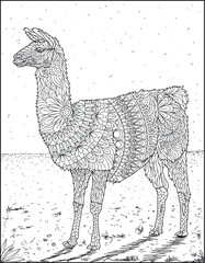 Animal coloring pages, outline drawing for adults coloring book