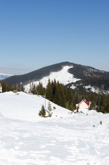 landscape. Snow-capped mountain peak, view of the pine forest. The concept of tourism in the mountains. Horizontal orientation.