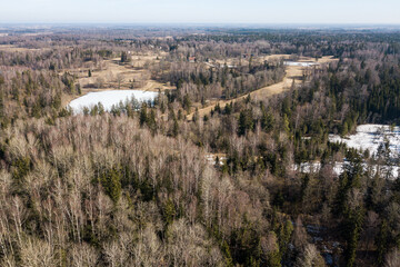 Fototapeta na wymiar Aerial view of forest and field in sunny spring day, Latvia.