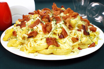 French fries with bacon and cheese close