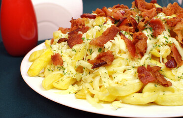 French fries with bacon and cheese close