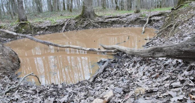 Am&eacute;nagement forestier pour gibier