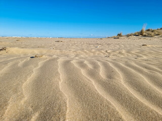 sand dunes in the desert
