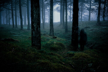Silhouette of person dressed in black with coat cloak and big hood in a dark and creepy forest. Person in movement. Silhouette. Sensation of fear and loneliness. Agoraphobia in forest.