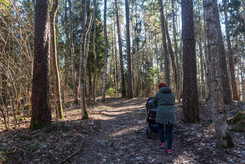 Fototapeta premium Woman with a pram walking along the walking path in forest. Sunny spring day.
