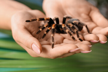 Woman with scary tarantula spider, closeup