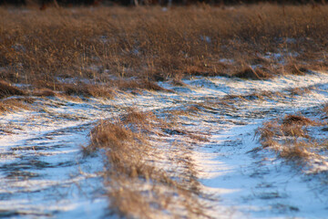Rolling road and grass covered with snow