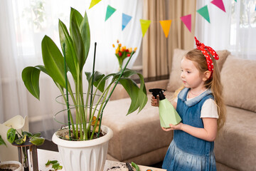 a little cute girl sprays the houseplant with water. 