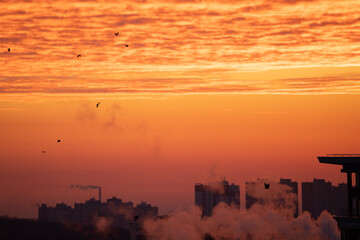 sunset over the city