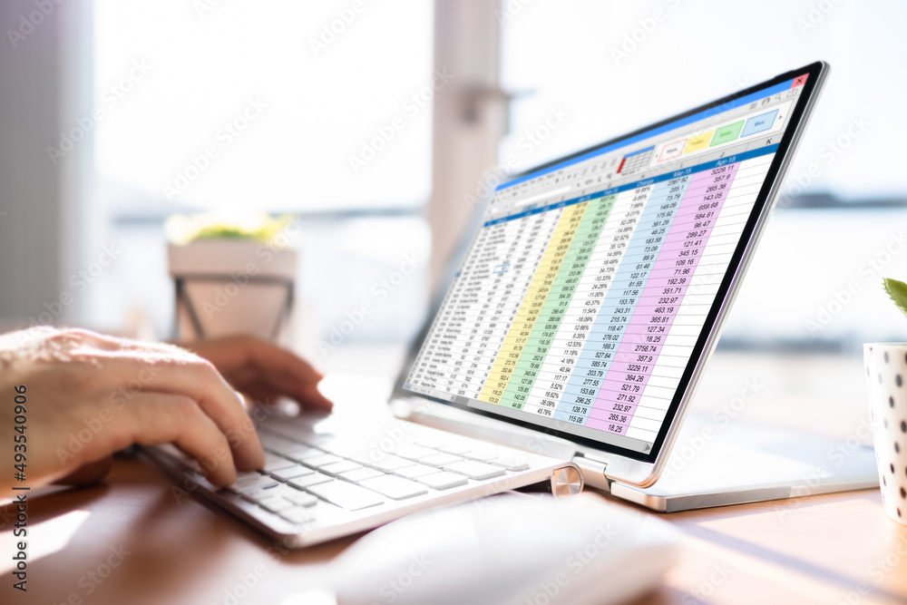 Aufkleber electronic spreadsheet analyst or auditor using software