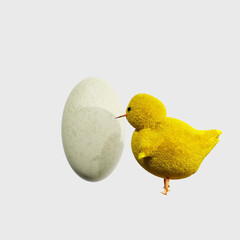 Baby chicken with egg isolated on white background. 3D render illustration.