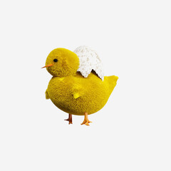 Baby chicken with egg isolated on white background. 3D render illustration.